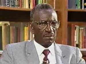 cheikh anta diop black radical